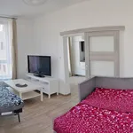 Pronájem bytu 1+1 34m²