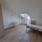 Rent 5 bedroom apartment of 140 m² in Mantova