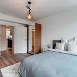 Rent a room of 150 m² in Cologne