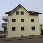 Rent 4 bedroom apartment of 110 m² in  Schweiz