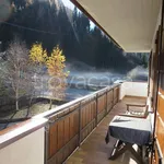 Rent 3 bedroom apartment of 70 m² in Santo Stefano di Cadore