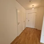 Rent 2 bedroom apartment of 49 m² in Graz