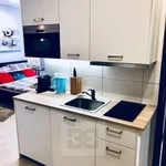 Rent 1 bedroom apartment in Capital City of Prague