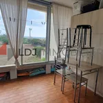 Rent 1 bedroom apartment of 19 m² in PerpignanT