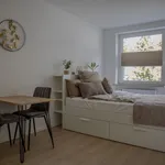 Rent 1 bedroom apartment of 22 m² in München