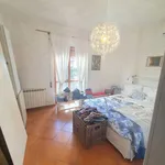 Rent 3 bedroom apartment of 100 m² in Roma