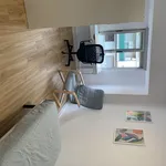 Rent 3 bedroom apartment in Valencia