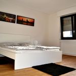 Rent 1 bedroom apartment of 70 m² in Cologne