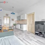 Rent 4 bedroom apartment of 120 m² in Hranice