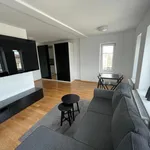 Rent 1 bedroom apartment of 33 m² in Szczecin