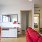 Rent 1 bedroom apartment in Milano