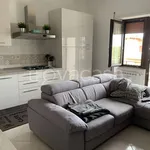 Rent 3 bedroom apartment of 75 m² in Roma