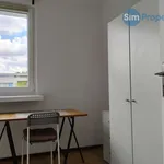 Rent 1 bedroom apartment in Brno