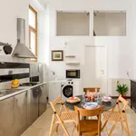 Rent 1 bedroom apartment in Rome