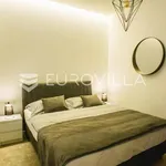 Rent 1 bedroom apartment of 45 m² in Zagreb