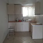 Rent 1 bedroom apartment of 60 m² in Municipal Unit of Tripoli