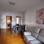 Rent 4 bedroom apartment of 180 m² in Grosseto