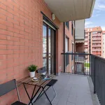 Rent 1 bedroom apartment in Turin