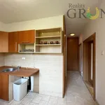 Rent 2 bedroom apartment of 54 m² in Karviná