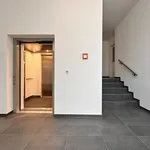 Rent 2 bedroom apartment of 50 m² in Leipzig