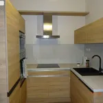 Rent 2 bedroom apartment of 55 m² in Brno