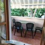 Rent 5 bedroom apartment of 65 m² in Massa