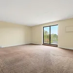 Rent 1 bedroom apartment in Windsor