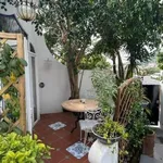 Rent 1 bedroom apartment of 20 m² in Lacco Ameno