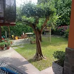 Rent a room of 14 m² in Padova