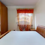 Rent 3 bedroom apartment of 100 m² in Perugia