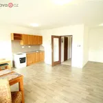 Rent 1 bedroom apartment of 37 m² in Trhový Štěpánov