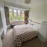 Rent 3 bedroom house in Comber