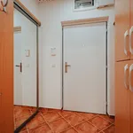 Rent 3 bedroom apartment of 95 m² in Brno