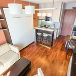 Rent 1 bedroom apartment of 30 m² in Prague