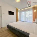 Rent 2 bedroom apartment of 43 m² in Łódź