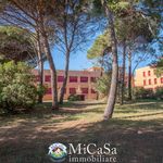 Rent 2 bedroom apartment of 55 m² in Pisa