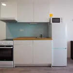 Rent 1 bedroom apartment in Brno