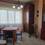 Rent 6 bedroom apartment of 100 m² in Campobasso