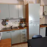 Rent 2 bedroom apartment of 45 m² in Bologna