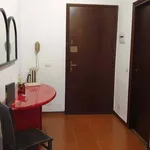 Rent 3 bedroom apartment of 100 m² in Padua