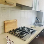 Rent 1 bedroom apartment in Milan