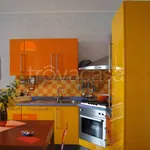 Rent 2 bedroom apartment of 40 m² in San Benedetto del Tronto