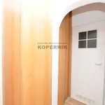 Rent 2 bedroom apartment of 36 m² in Toruń