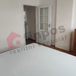 Rent 2 bedroom apartment in Benešov