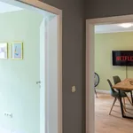 Miete 1 Schlafzimmer wohnung von 60 m² in Chemnitz