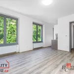 Rent 1 bedroom apartment in Chrudim