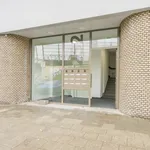 Rent 3 bedroom apartment in Amsterdam