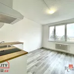 Pronájem bytu 1+kk 25m²