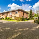 Rent 1 bedroom apartment in Merelbeke