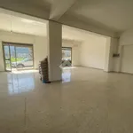 Rent 1 bedroom apartment of 100 m² in Atina